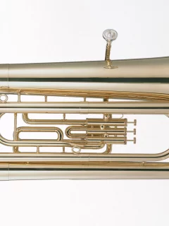 music, enstruman29