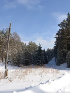 зима, лес, снег, дорога, столб, поворот, мороз, солнце, иней