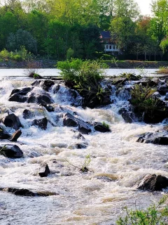природа, реки, озера, поток, камни