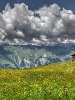 трава, пейзаж, горы, луг, цветы, дом