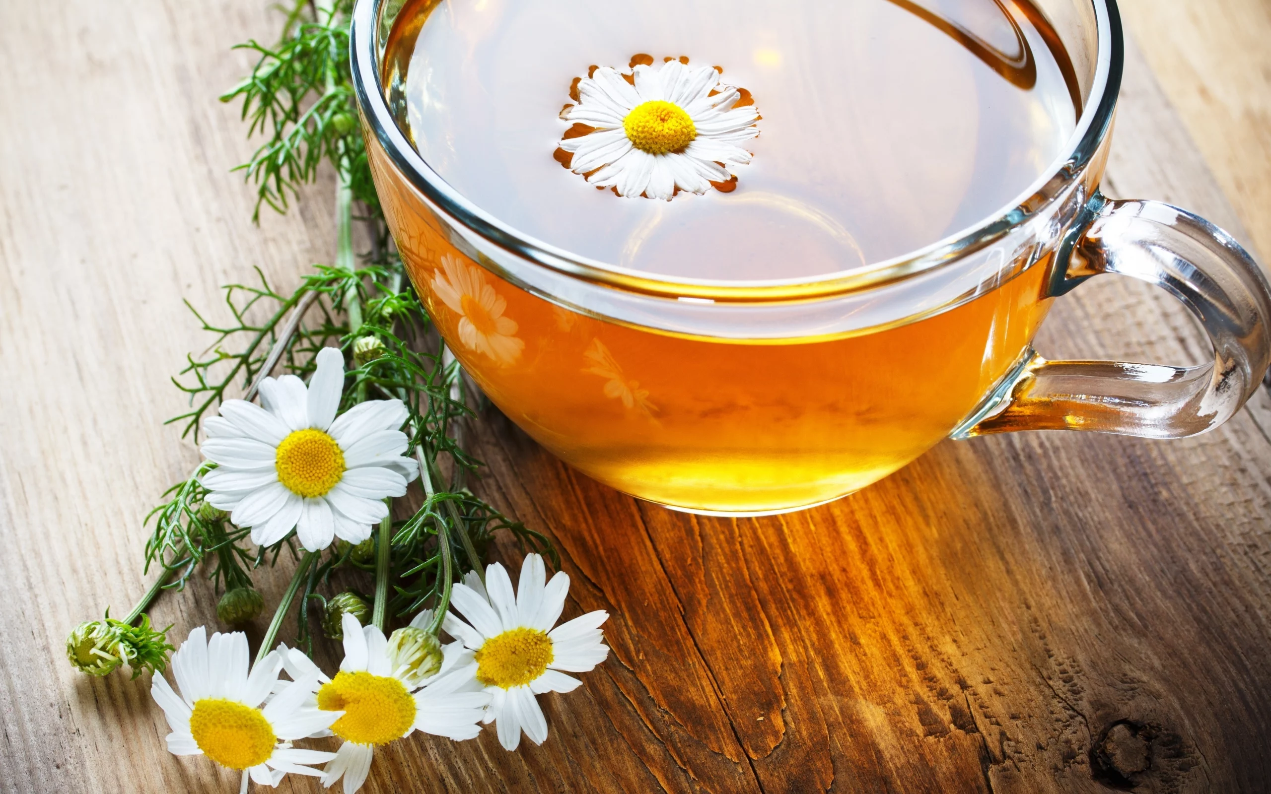 кружка, чашка, ромашка, настроения, чай, tea, цветы, flowers