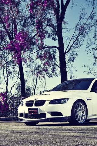 BMW, М3, белый