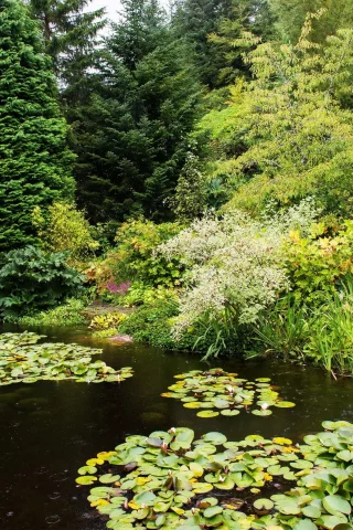 природа, парк, attadale, gardens, strathcarron, scotland
