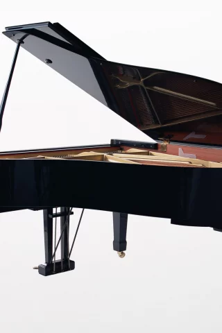 music, enstruman45