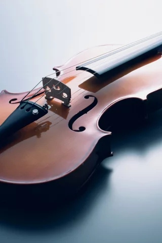 music, enstruman65