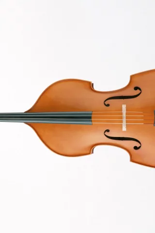 music, enstruman7