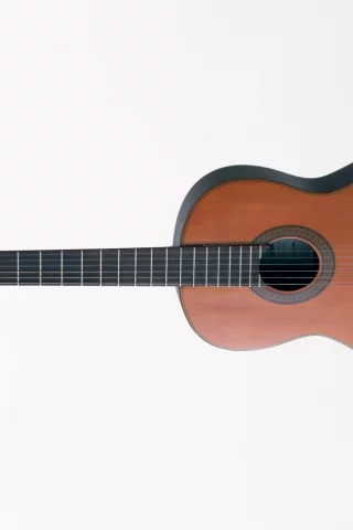 music, enstruman10