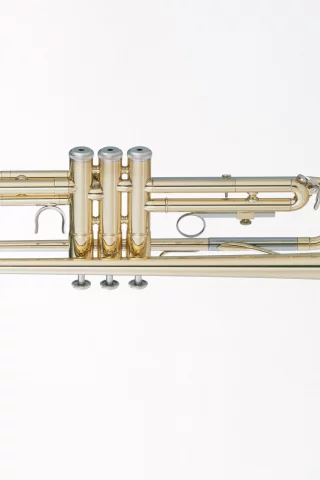 music, enstruman22