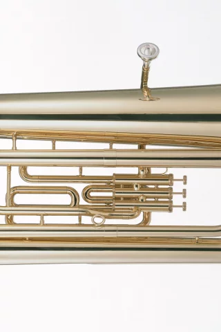 music, enstruman29