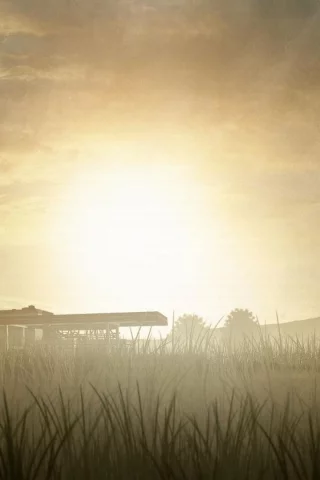 выжившие, telltale games, dlc, 400 days, зомби, the walking dead, солнце