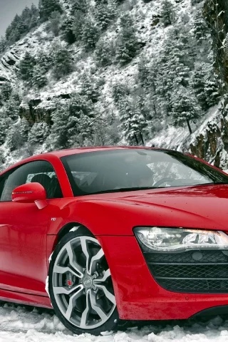 Audi R8 audi, r8, автомобили