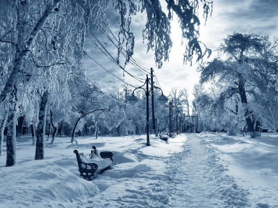 зима, парк, снег, деревья