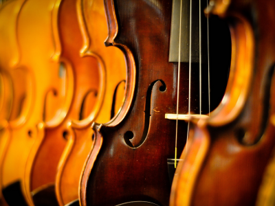 violins, музыка, макро