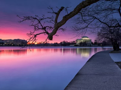 purple, сша, trees, park, blue, river, sky, washington, evening, sunset, lights, usa