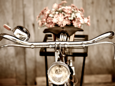 цветочки, руль, цветы, настроения, фон, велосипед, bicycle