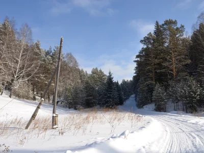 зима, лес, снег, дорога, столб, поворот, мороз, солнце, иней