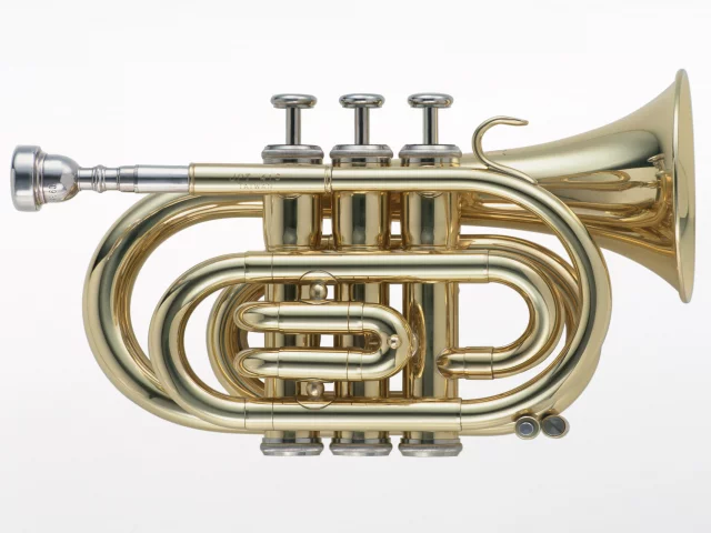 music, enstruman24