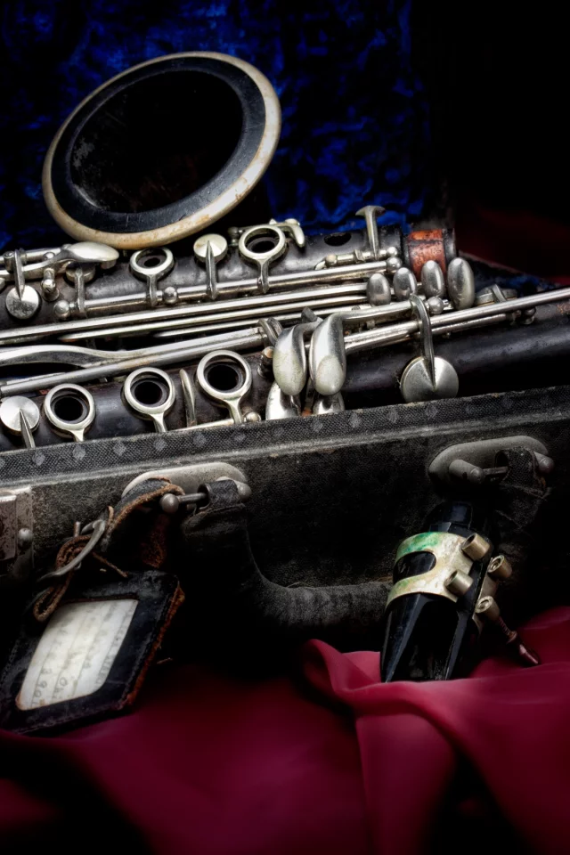 футляр, стиль, clarinet, бархат