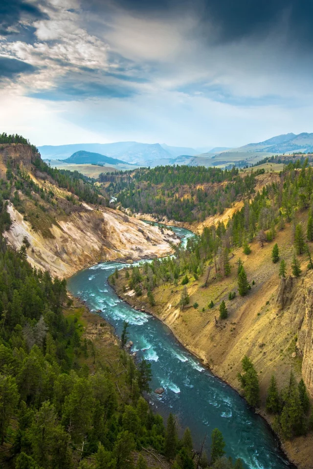 Yellowstone National Park, деревья, природа, река, горы