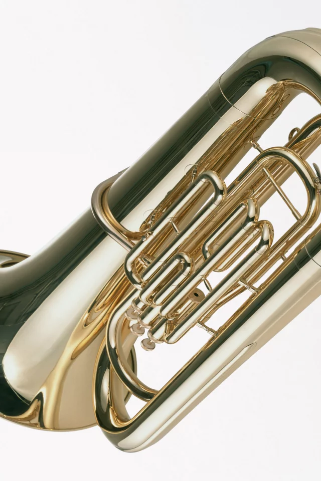 music, enstruman30