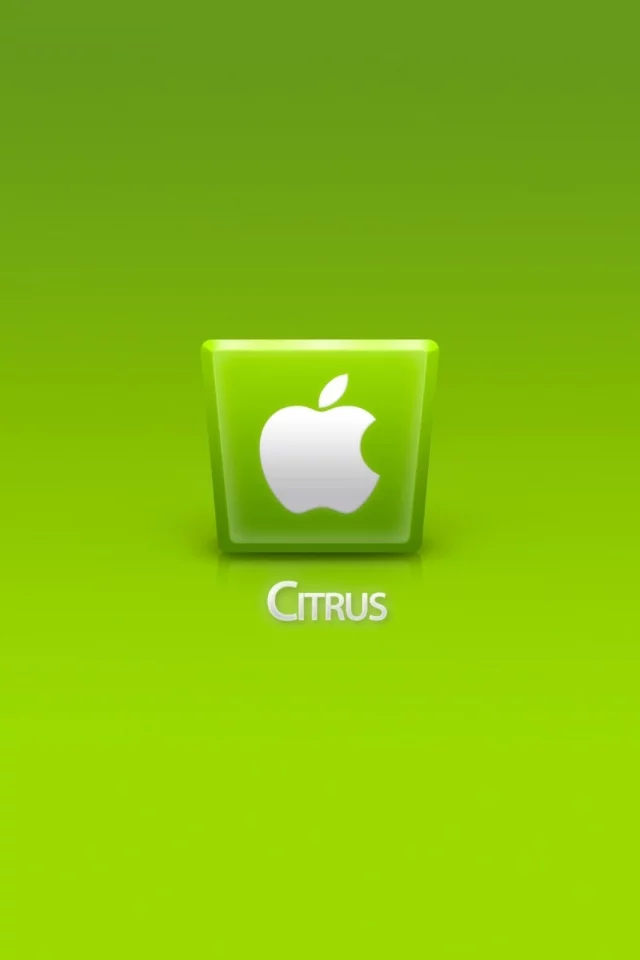 компьютер, телефон, apple, ноутбук, citrus, гаджет
