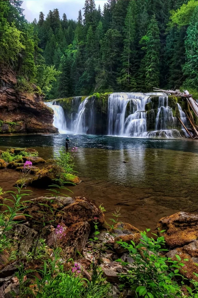 природа, водопады, река, льюис, лес, камни, цветы