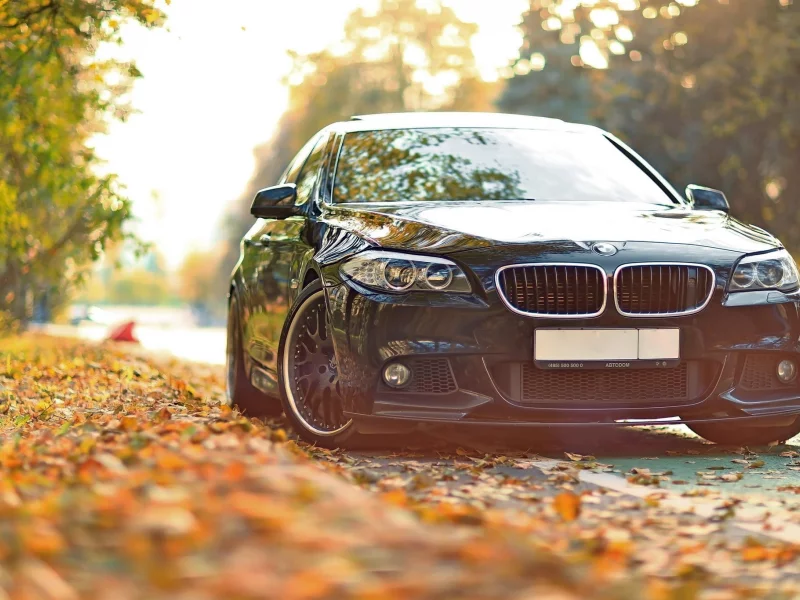 bmw, осень, f10, 550, drive, листья, бмв, тюнинг