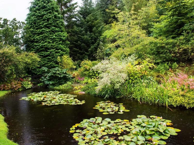 природа, парк, attadale, gardens, strathcarron, scotland