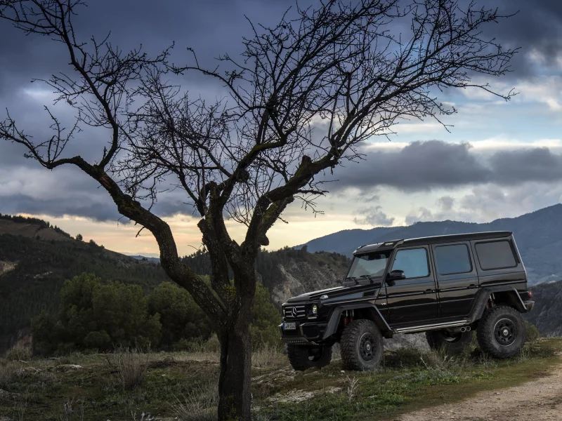 mercedes-benz, g500, 4x4, concept, внедорожник