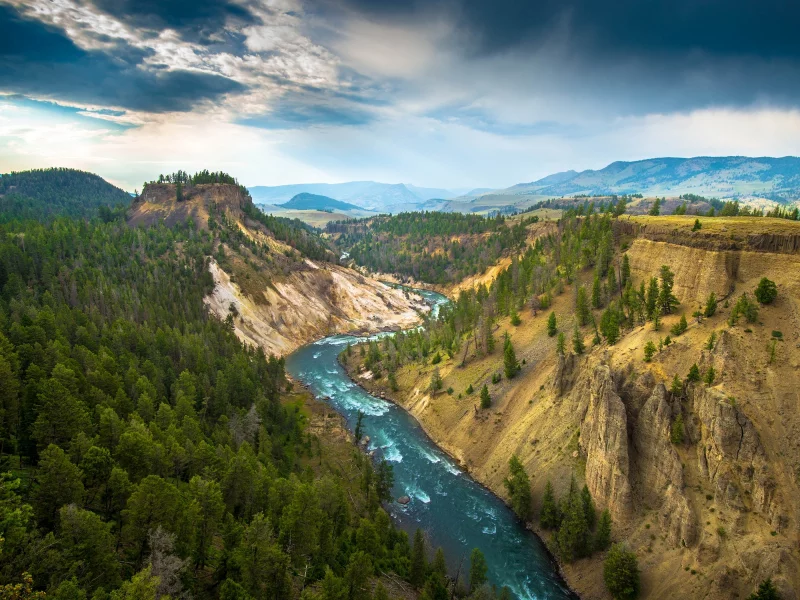 Yellowstone National Park, деревья, природа, река, горы
