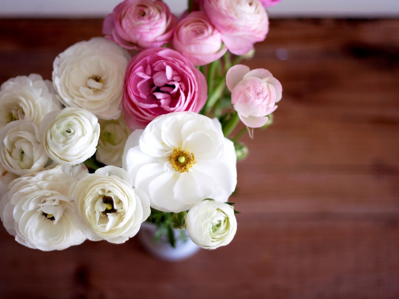 розовые, цветы, белые, ranunculus, бутоны, букет, лютики