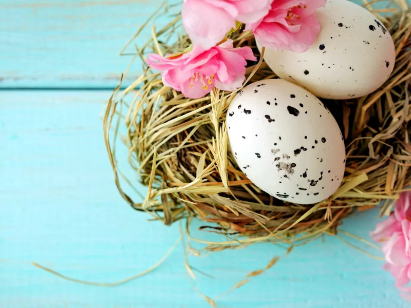 flowers, яйца, spring, blue, easter, eggs, pastel, пасха, весна, delicate, цветы
