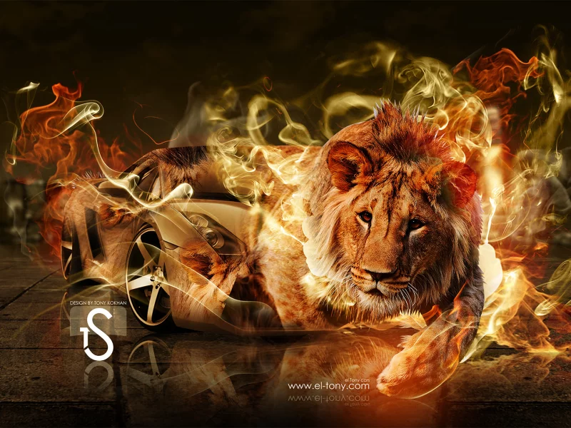 el tony cars, gallardo, fantasy, lamborghini, lion