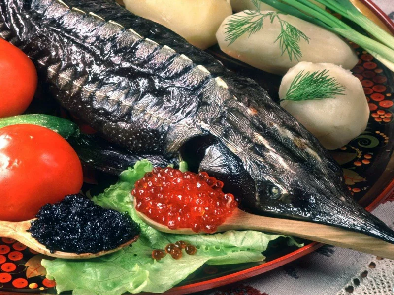 Осетрина, икра, овощи, зелень, еда, вкуснятинка.