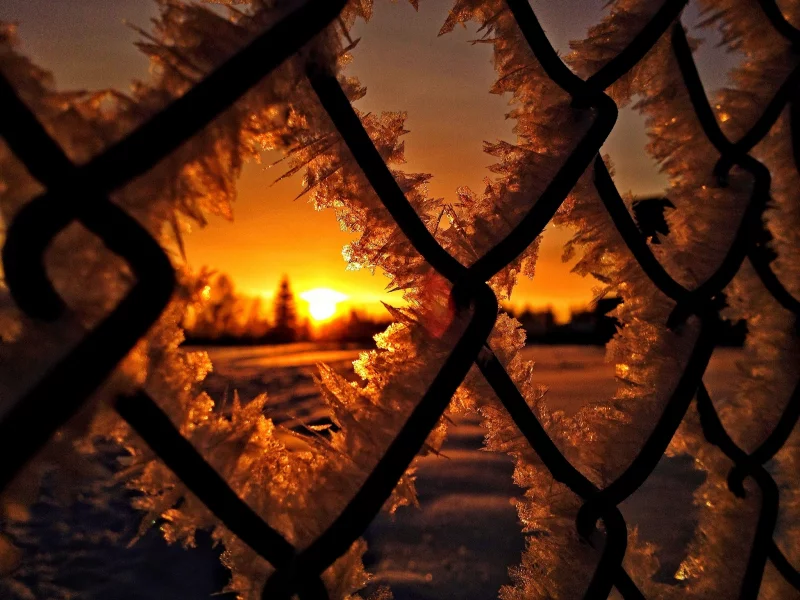 снег, sunrise, winter, зима, лед, nature, sun, frost, природа, ice, snow, sunset
