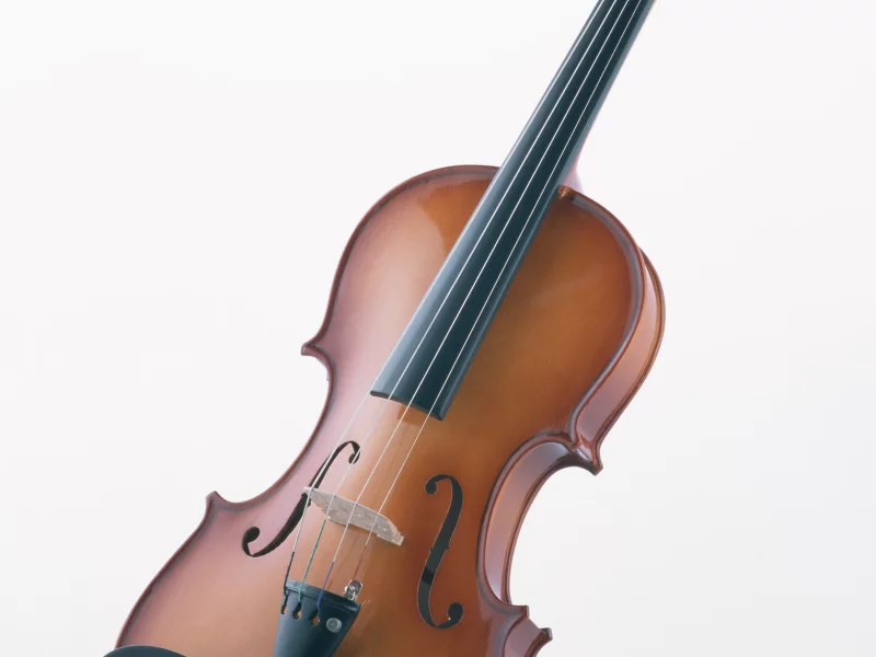 music, enstruman1