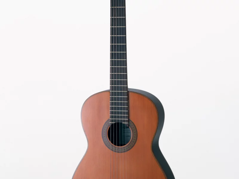 music, enstruman10