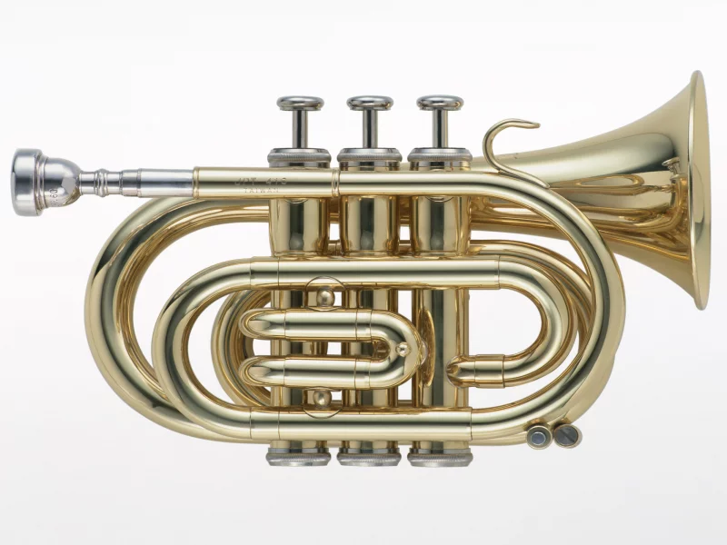 music, enstruman24