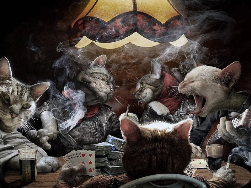 Коты, стол, карты, дым, кошачий катран.