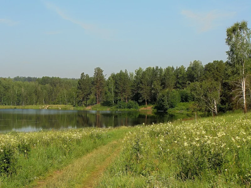 пейзаж, лето, озеро, лес, луг, трава, дорожка