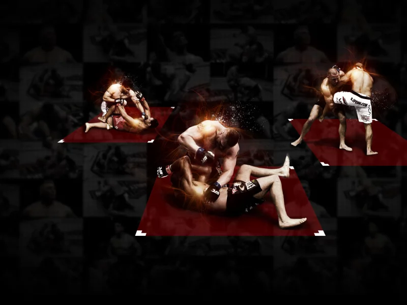 смешанные боевые искусства, mma, ufc, fighters, бойцы