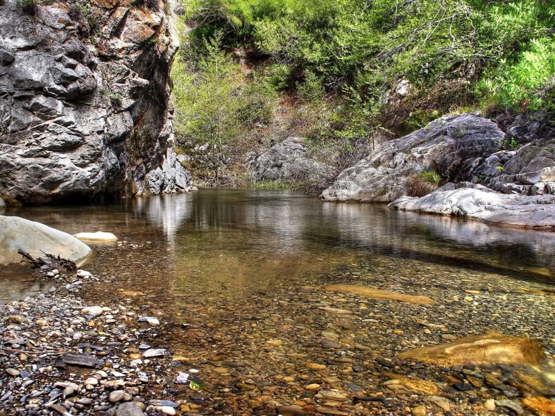 вода, природа, листья, деревья, камни
