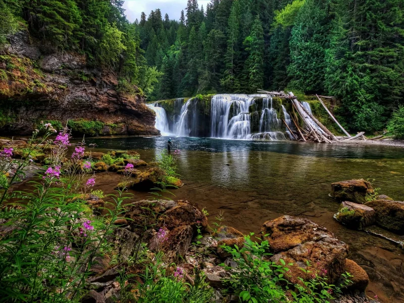 природа, водопады, река, льюис, лес, камни, цветы