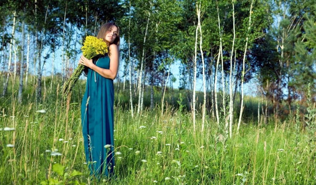 трава, деревья, цветы