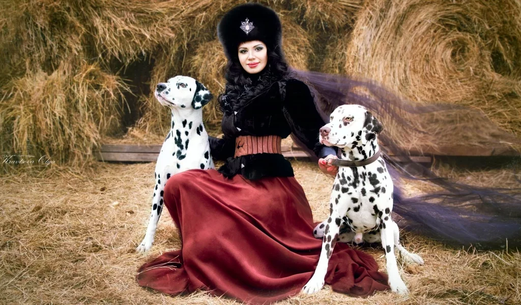 сено, костюм, юбка, собаки