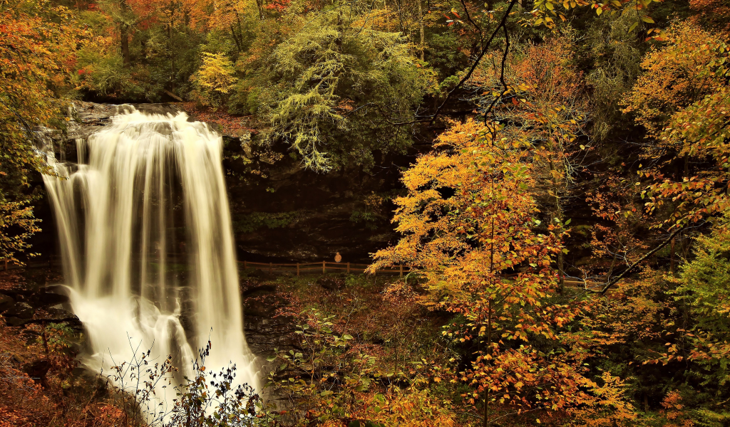 лес, река, осень, водопад