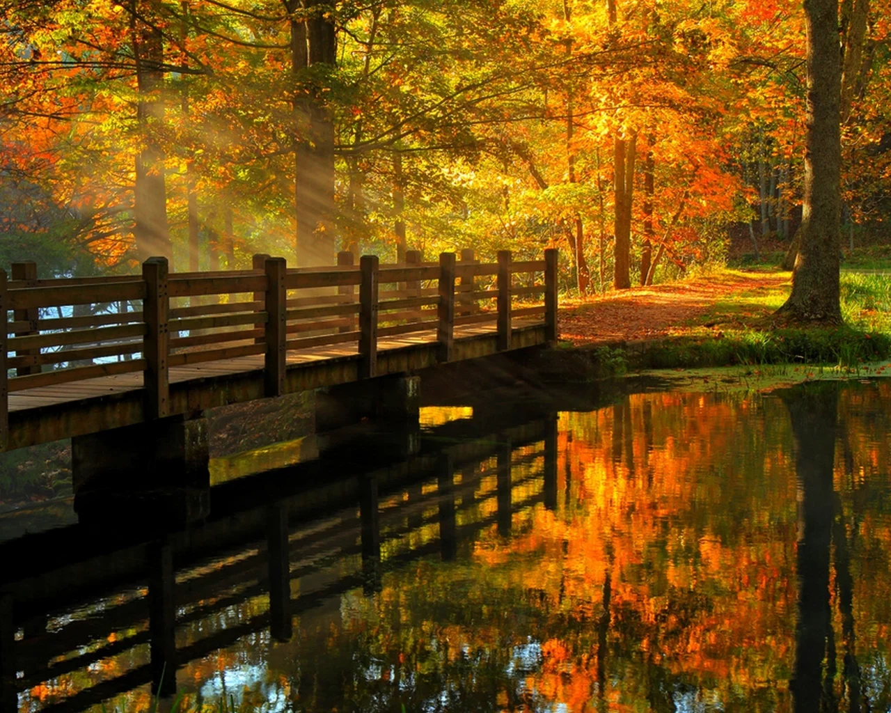 fall, alley, river, leaves, hdr, walk, trees, nature, view, water, forest, park, autumn, bridge