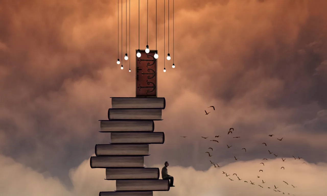 книги, небо, человек, дверь, птицы
