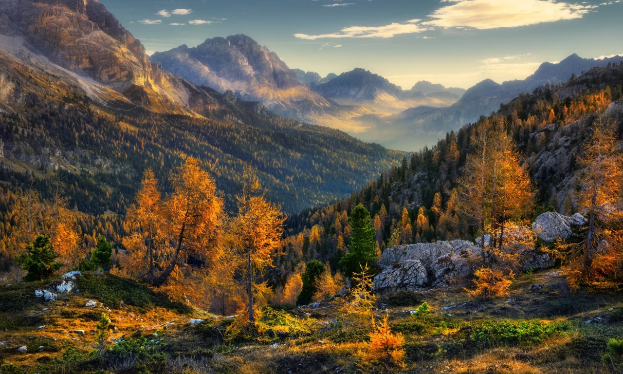 горы, деревья, лес, осень, природа, пейзаж