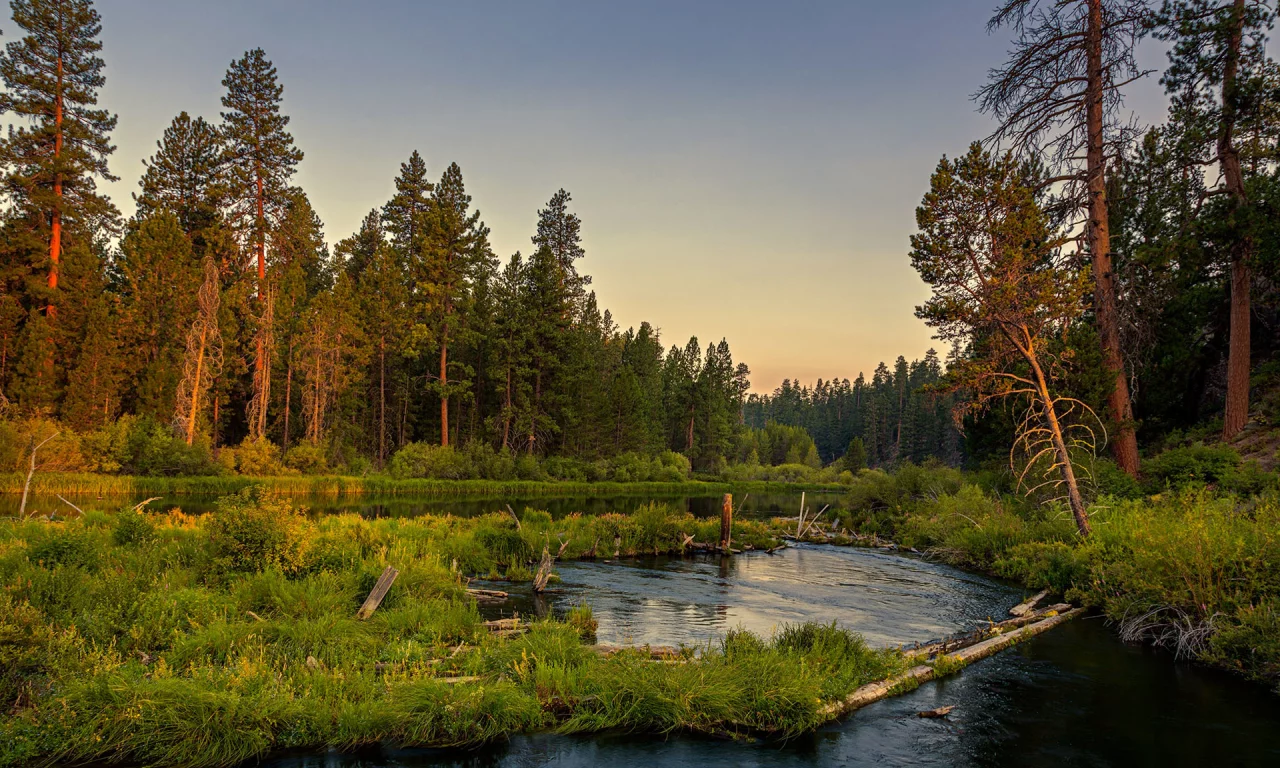 река, лес, вечер